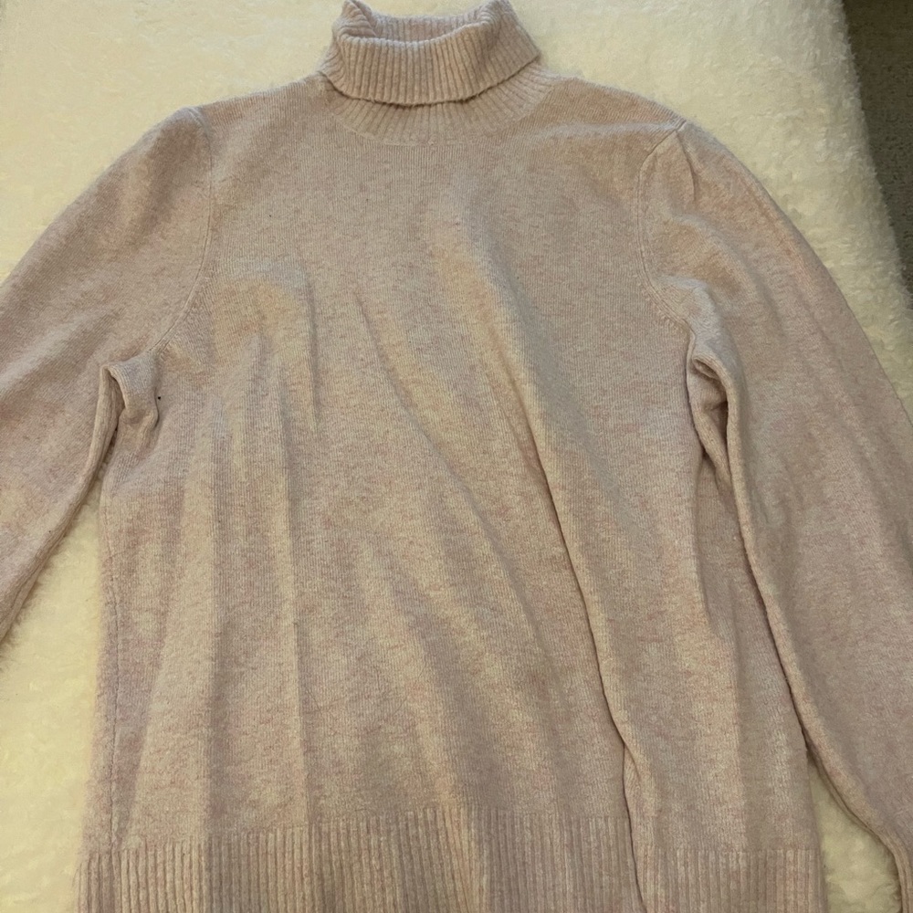 JCrew turtleneck sweater